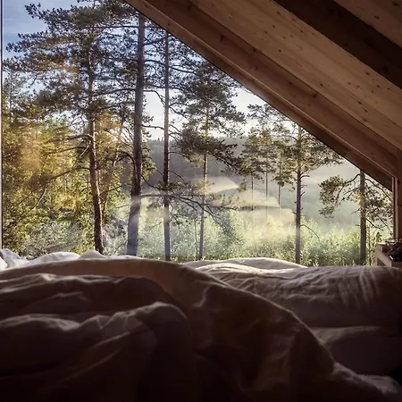 Hilltop House Premium Forest