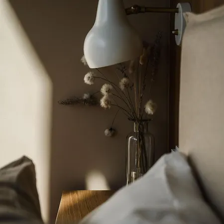 Hilltop House Premium Forest