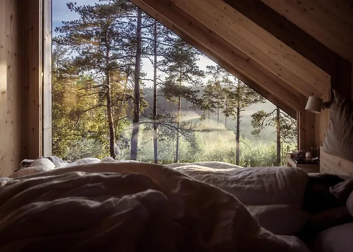 Hilltop House Premium Forest